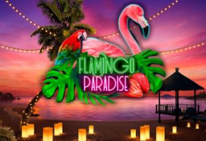 Flamingo Paradise